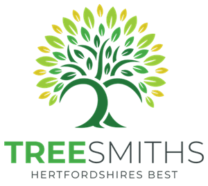 Tree Smiths